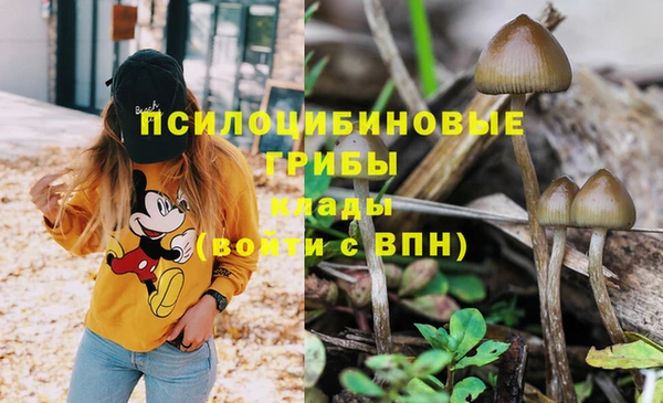 марки lsd Балабаново